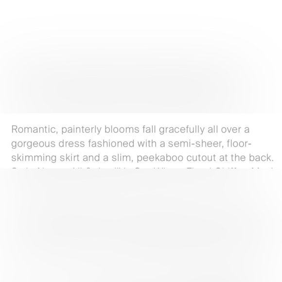 Ali & Jay Got Wings Floral Chiffon Multi Garden Floral Dress M - Picture 12 of 12